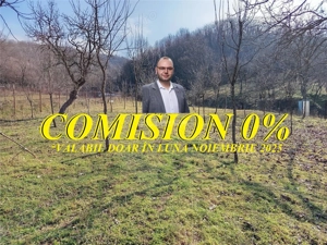 Ciclova, Teren Intravilan, Centru, Pret Negociabil