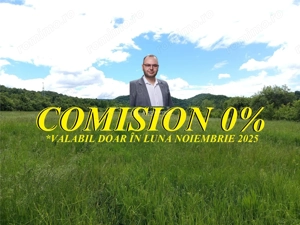 Borlovenii Noi, Teren Drept, 16000mp, la Limita Localitatii