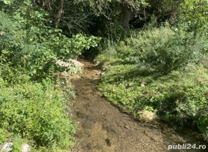 Casă de vânzare+teren - imagine 4