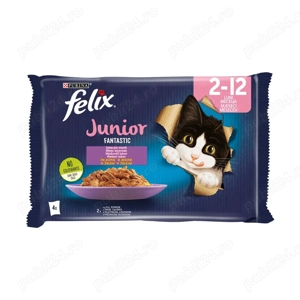 Hrana umeda pentru pisici Felix Fantastic Junior Pui in Aspic, 4 x 85g