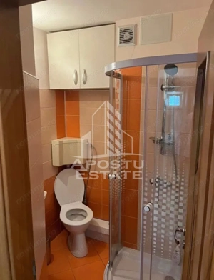 Apartament 3 camere , 2 bai , centrala proprie , Aradului - imagine 6
