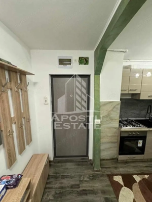 Apartament cu 2 camere, decomandat, centrala proprie, zona Freidorf - imagine 7