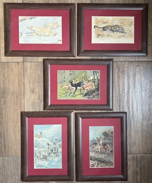 Toader Schipor Set 5 Tablouri Tematica Vânătorească picturi anii 60, inramate 26x35cm