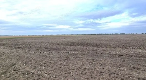 Teren extravilan, Comuna Valcele, Jud calarasi