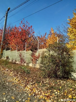 Teren intravilan 500 mp Rediu la 150 ml de soseaua principala. - imagine 2