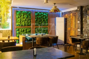 Vanzare Afacere La Cheie - Arcul de Triumf - imagine 4