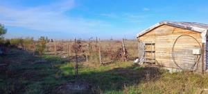 Vând teren intravilan la 30 min de București, Corbii Mari - imagine 2