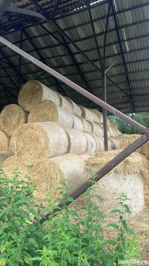 vand baloti de lucerna 