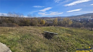 3D! Casa noua Persani,2022,panorama, design elegant,echipata,1.532 mp teren - imagine 17