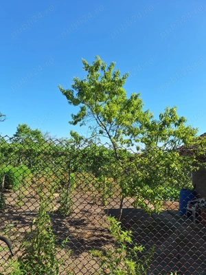 Vând casă  - imagine 6