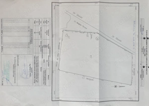 Medgidia, Constanța: TEREN intravilan 22.437mp + Post TRAFO (pretul mp = 23,5 EUR) - imagine 3