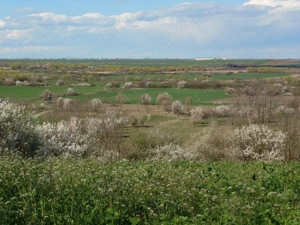  Teren cu priveliste superba + Proiect casa in Iepuresti, la 25km de Bucuresti. - imagine 3