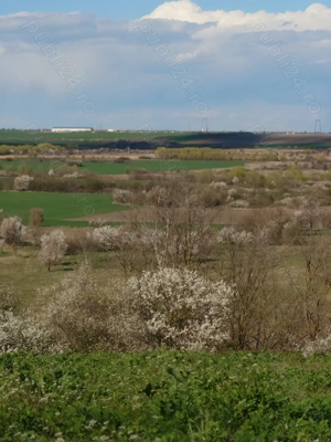 Teren cu priveliste superba + Proiect casa in Iepuresti, la 25km de Bucuresti.