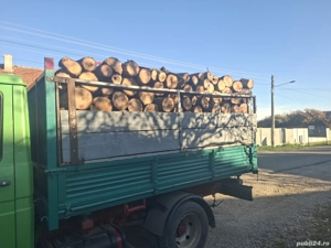 vând lemne de foc esență tare cer,fag,carpen,stejar cantitate garantata  transport gratuit  lemnele 
