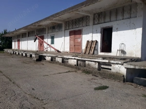 Vannd imobil Caracal , Olt, 24000 metri patrati - imagine 2