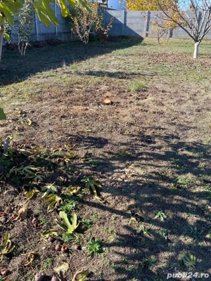 proprietar vând teren Chișoda  - imagine 2