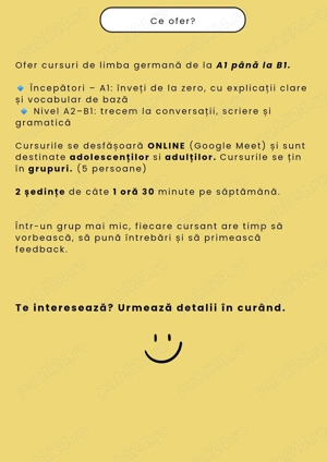 Germană Online 100 lei 1 ora 30 min