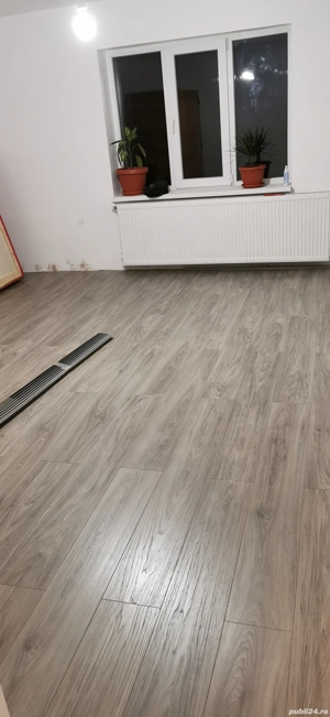 Casă de vânzare în Silvașu de Sus  - imagine 8