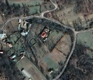 Vand  Casa + anexe gospodarie  7300mp , Com Danicei sat Ciresu jud Valcea - 18.000euro - imagine 5