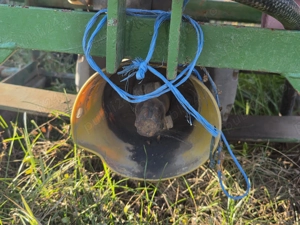 Vând instalație de erbicidat - imagine 2