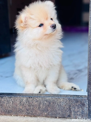 Cadoul perfect de sărbători