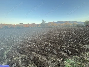 Grădina Sinca Nouă,Brasov - imagine 2