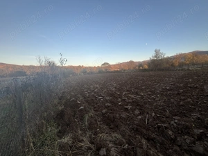 Grădina Sinca Nouă,Brasov - imagine 5