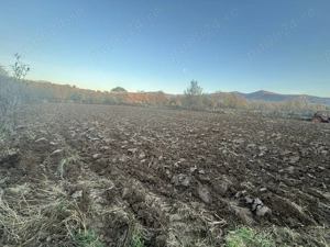 Grădina Sinca Nouă,Brasov - imagine 3