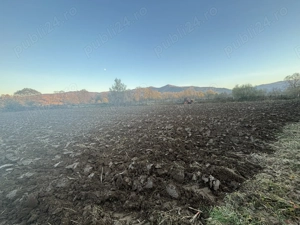 Grădina Sinca Nouă,Brasov - imagine 6