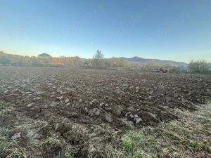 Grădina Sinca Nouă,Brasov - imagine 4