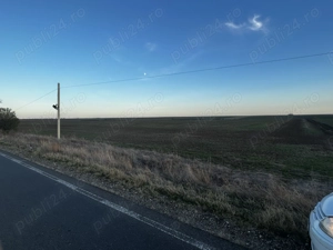 Teren extravilan în Orțișoara de vânzare .