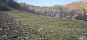 Teren intravilan 4323 mp