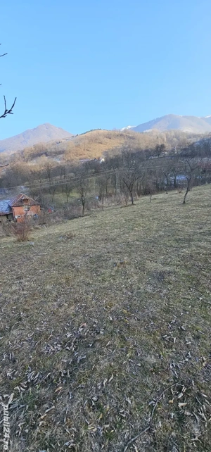 Teren intravilan 4323 mp - imagine 3