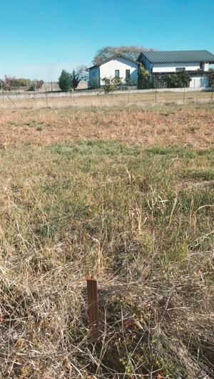 Vând teren 500mp la Sânpaul direct proprietar   49 1516 3867926 - imagine 8