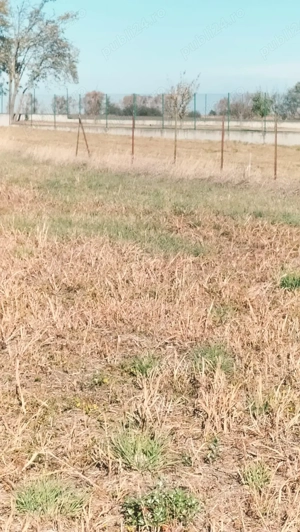 Vând teren 500mp la Sânpaul direct proprietar   49 1516 3867926 - imagine 4