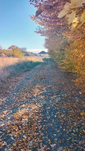 Vând teren 500mp la Sânpaul direct proprietar   49 1516 3867926 - imagine 7