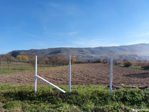 Surduc de vanzare langa lacul Surduc curte și grădină cu fantana, documente de proprietate la zi - imagine 4