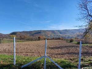 Surduc de vanzare langa lacul Surduc curte și grădină cu fantana, documente de proprietate la zi - imagine 5