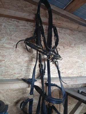 Hama de vânzare  - imagine 2