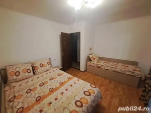 cabana Valea Sadului  - imagine 2