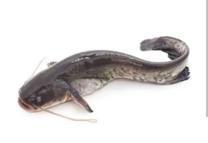 vand somn pentru populat - imagine 2