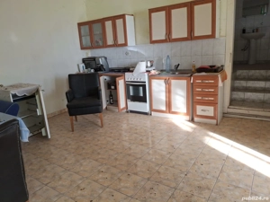 Casa de vanzare + teren 8000 mp - imagine 2