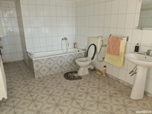 Casa de vanzare + teren 8000 mp - imagine 3