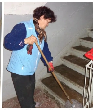 DOAMNE pentru igienizare toalete stradale...