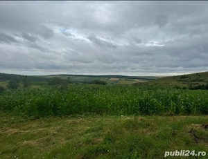teren de vanzare Zaicesti 4800mp2