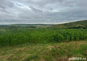 teren de vanzare Zaicesti 4008mp2 - imagine 4