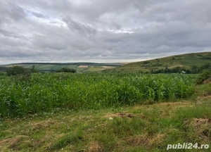 teren de vanzare Zaicesti 4008mp2 - imagine 5