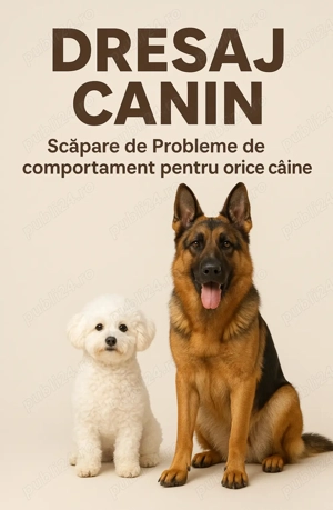 Dresaj canin în județul Iași 