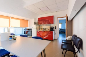 Spațiul comercial, Stadion, 225 mp utili cu curte si balcoane, 5 bai, bucatarie - imagine 7