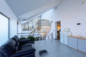 Spațiul comercial, Stadion, 225 mp utili cu curte si balcoane, 5 bai, bucatarie - imagine 13